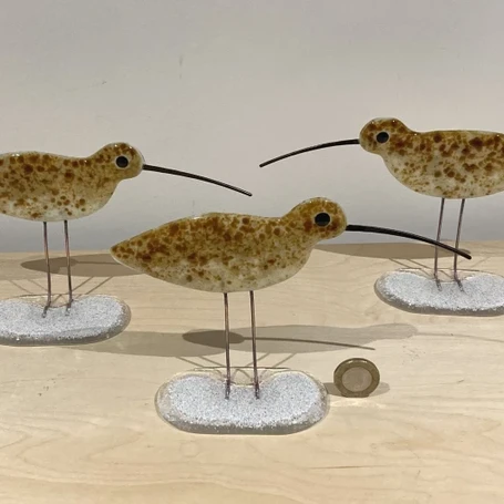 Glass Curlews