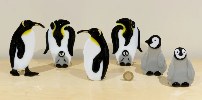 Glass Penguin Family